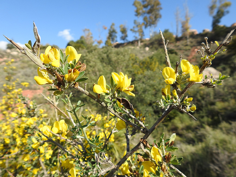 Comprometidos con el medio ambiente Comprometidos con el medio ambiente, Votorantim Cimentos España