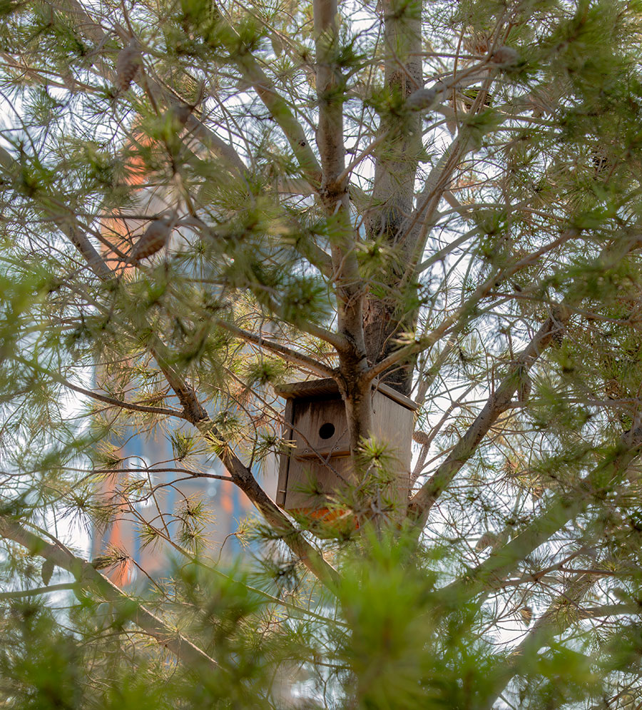 Fábrica de Málaga, Biodiversidad Fábrica de Málaga, Biodiversidad Votorantim Cimentos España