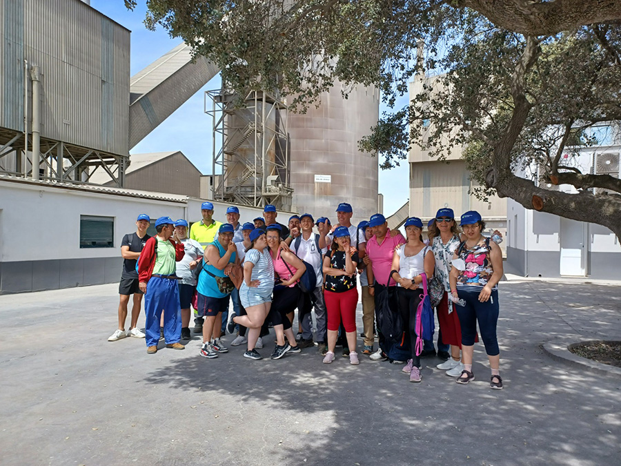 Fábrica de Alconera, Entorno Fábrica de Alconera, Entorno