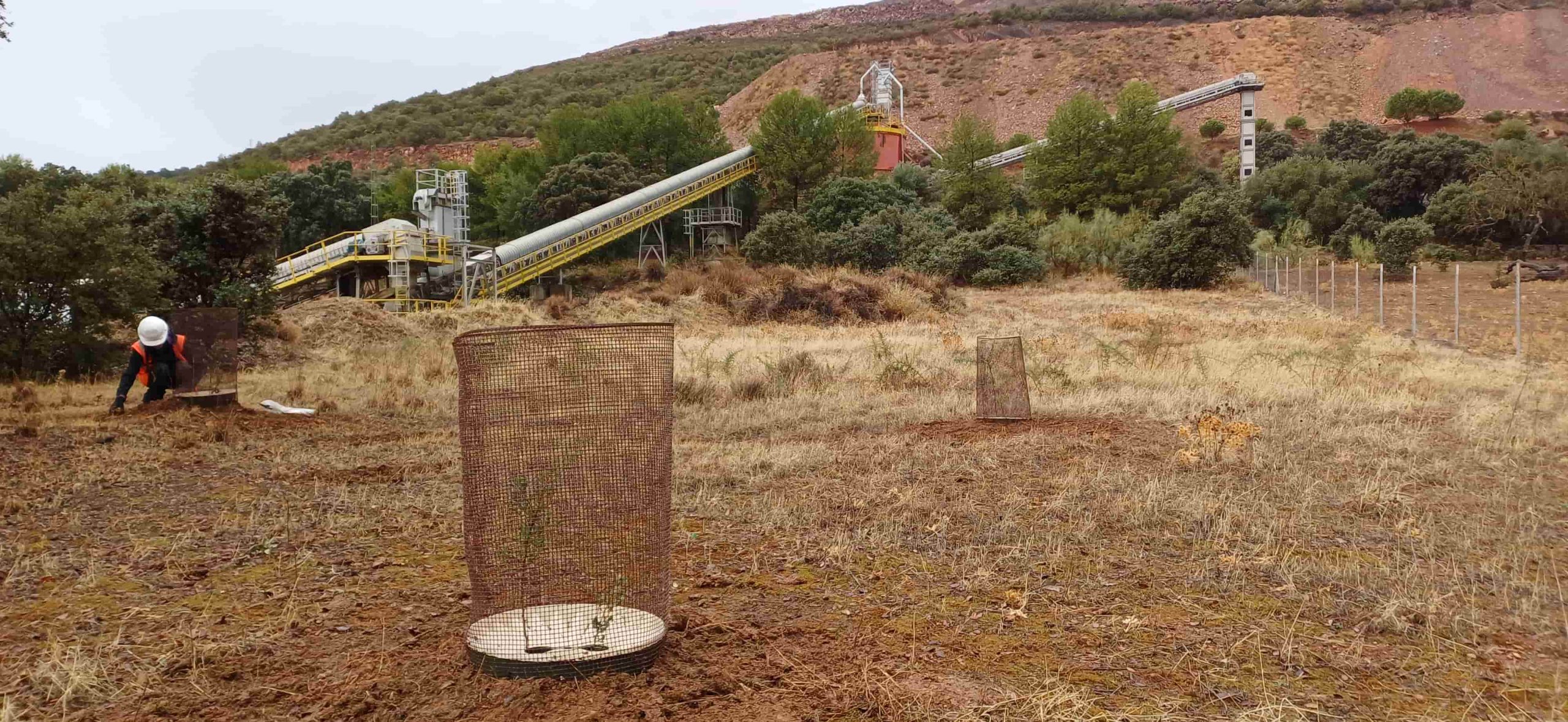 Fábrica de Alconera Biodiversidad Fábrica de Alconera Biodiversidad, Votorantim Cimentos España