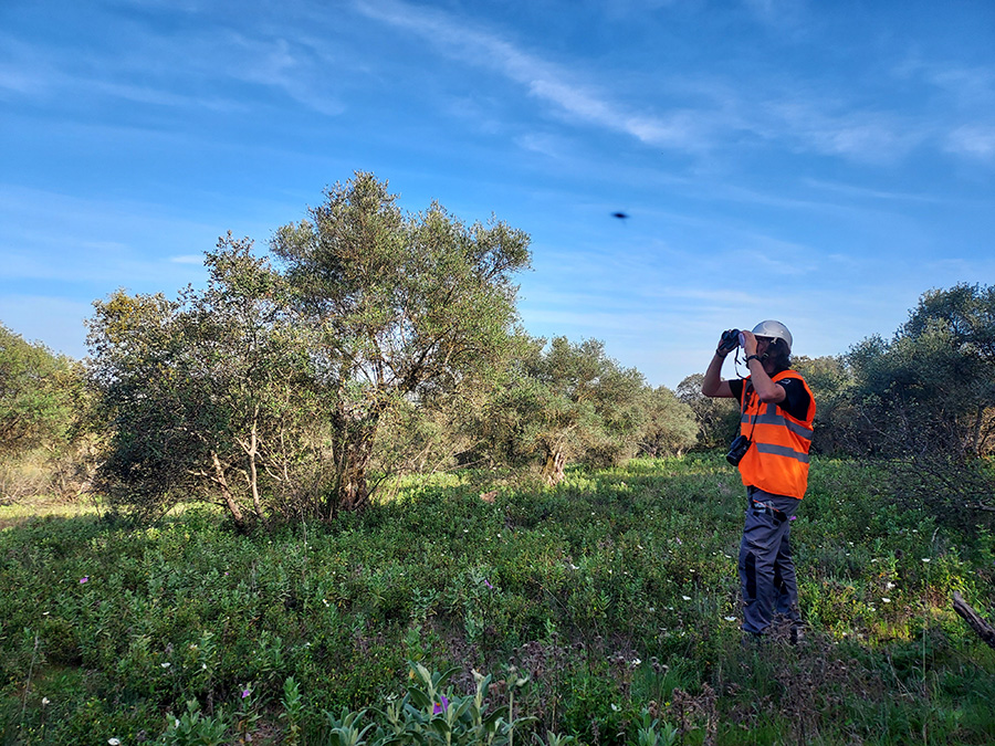 Fábrica de Alconera, Medio Ambiente Fábrica de Alconera, Medio Ambiente