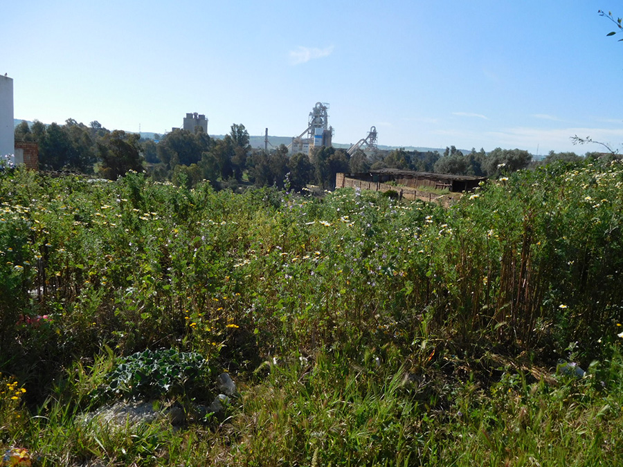 Fábrica de Niebla, Gestión Medioambiental Fábrica de Niebla, Gestión Medioambiental