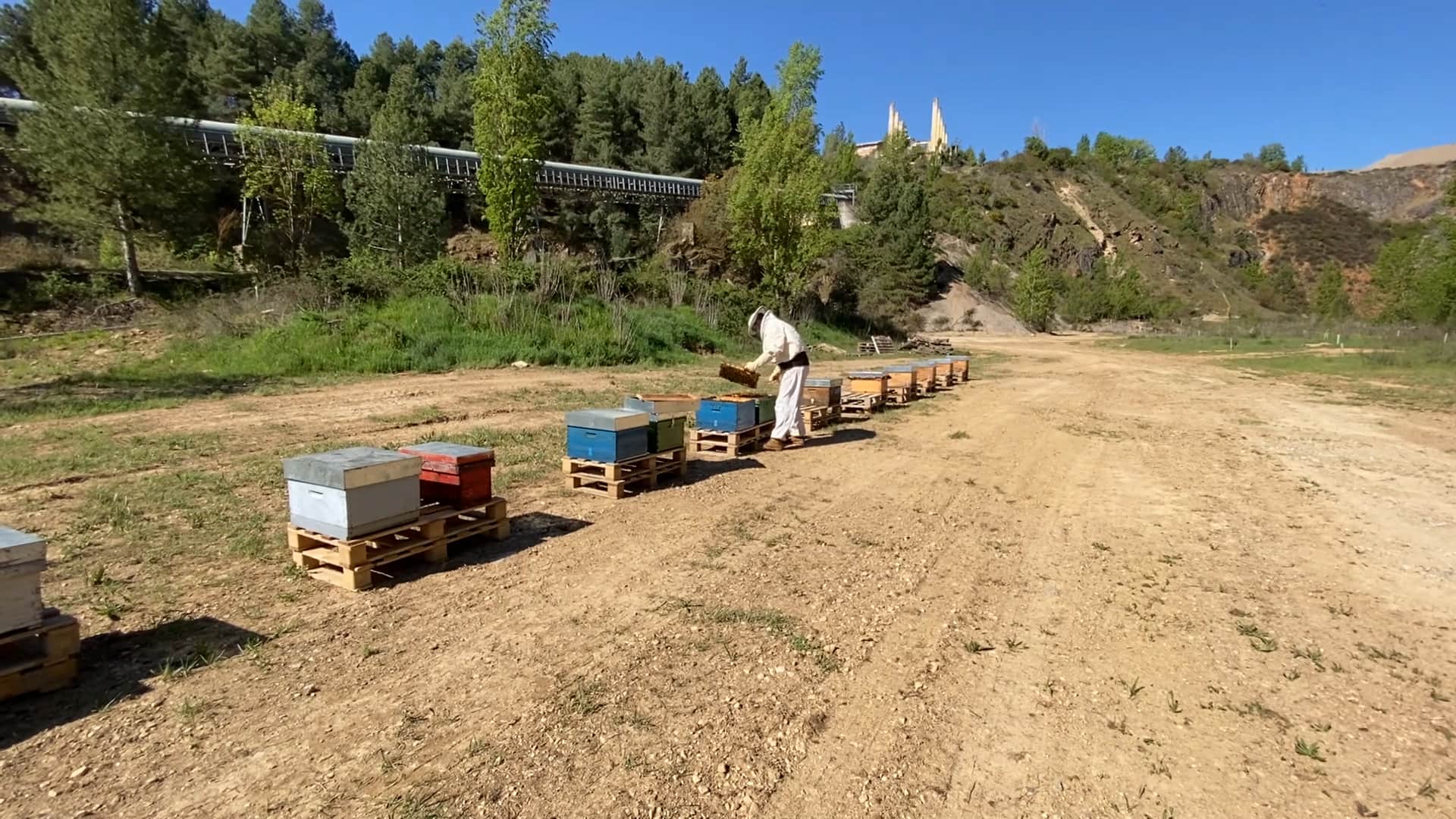 Toral Protección Biodiversidad Toral Protección Biodiversidad